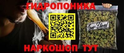 дмт Будённовск