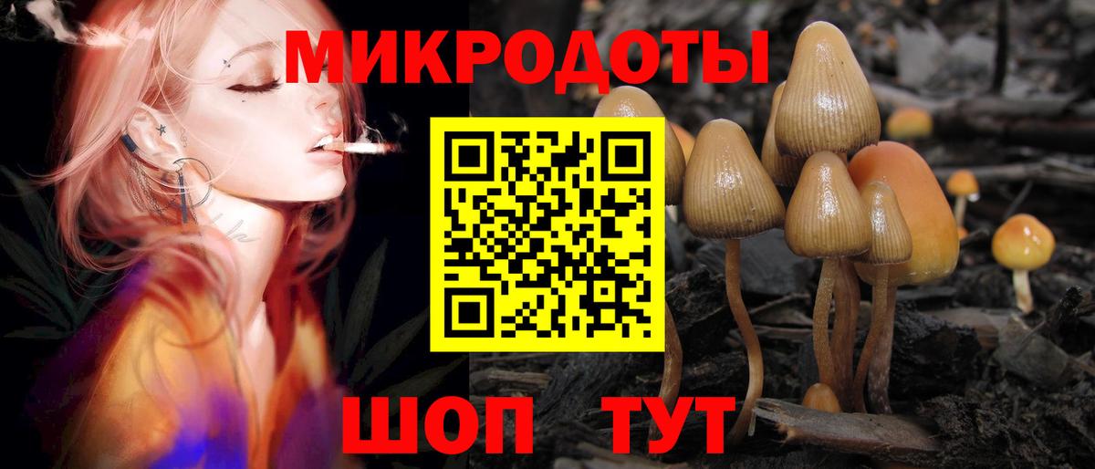Псилоцибиновые грибы Magic Shrooms Моздок